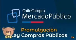 Compras al por mayor a través del Mercado Público